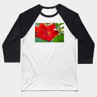 Hibiscous V Baseball T-Shirt